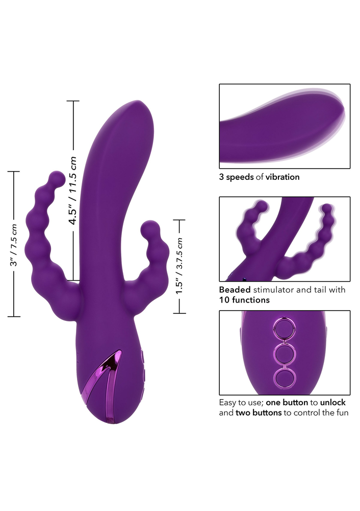 CalExotics California Dreaming Long Beach Bootylicious PURPLE - 10