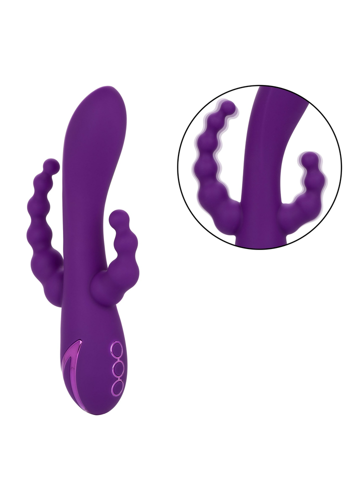 CalExotics California Dreaming Long Beach Bootylicious PURPLE - 5