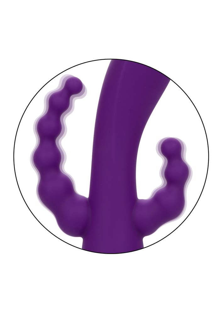CalExotics California Dreaming Long Beach Bootylicious PURPLE - 12
