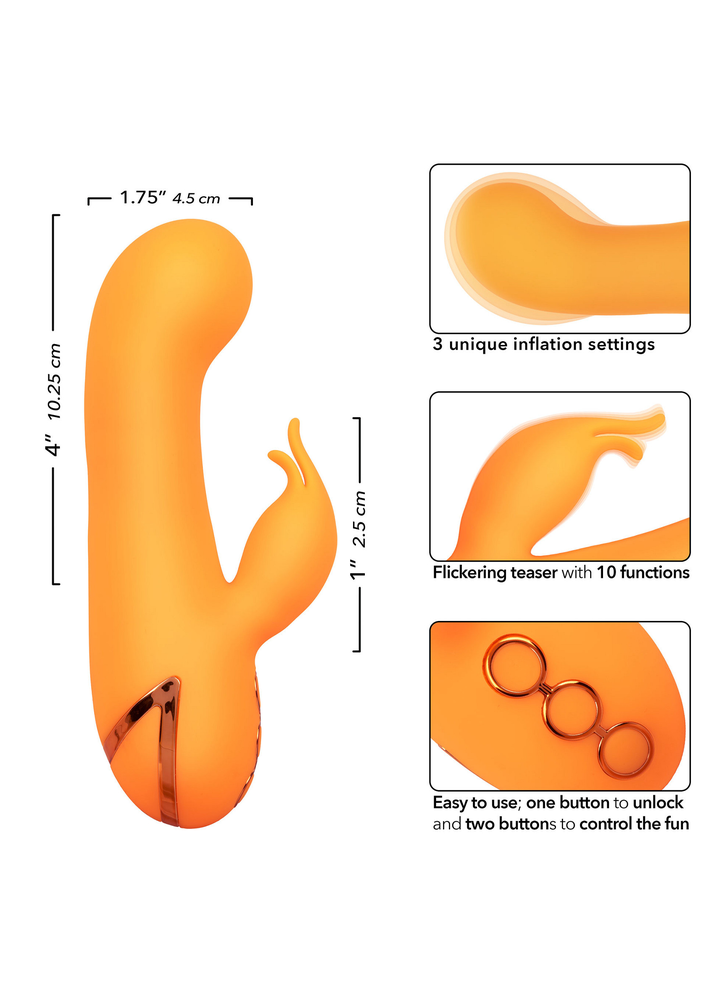 CalExotics California Dreaming Montecito Muse ORANGE - 7