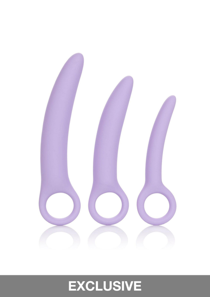 CalExotics Dr. Laura Berman Alena Set of 3 Silicone Dilators PURPLE - 4