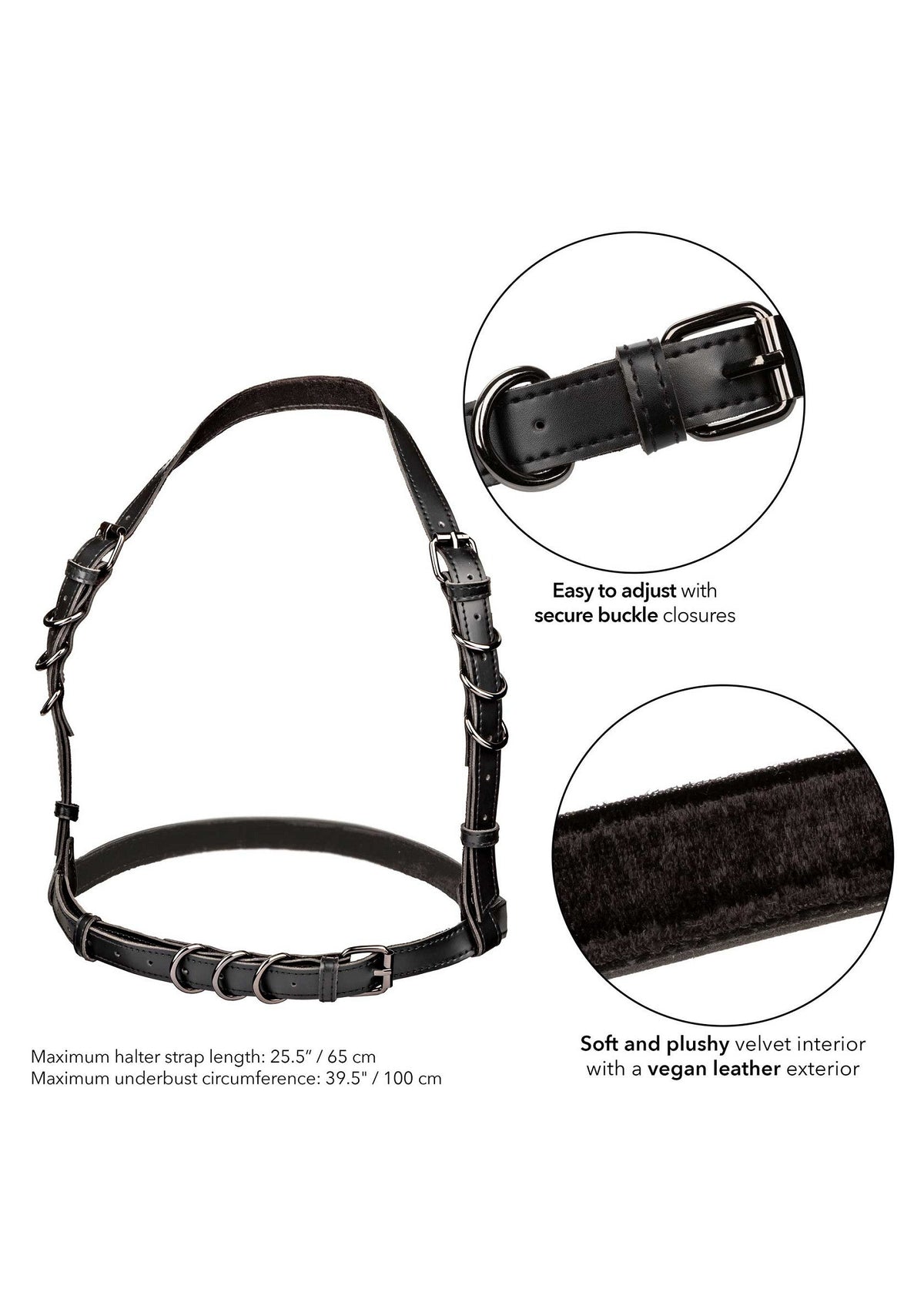 Halter Buckle Harness BLACK - 3