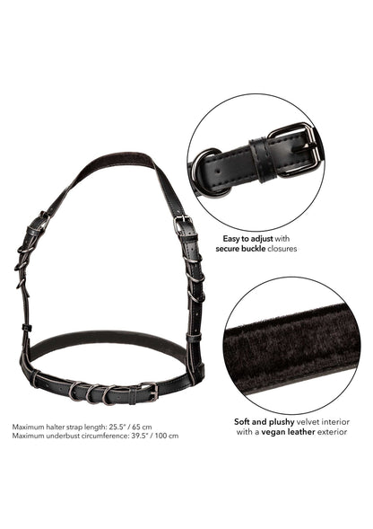 Halter Buckle Harness BLACK - 3