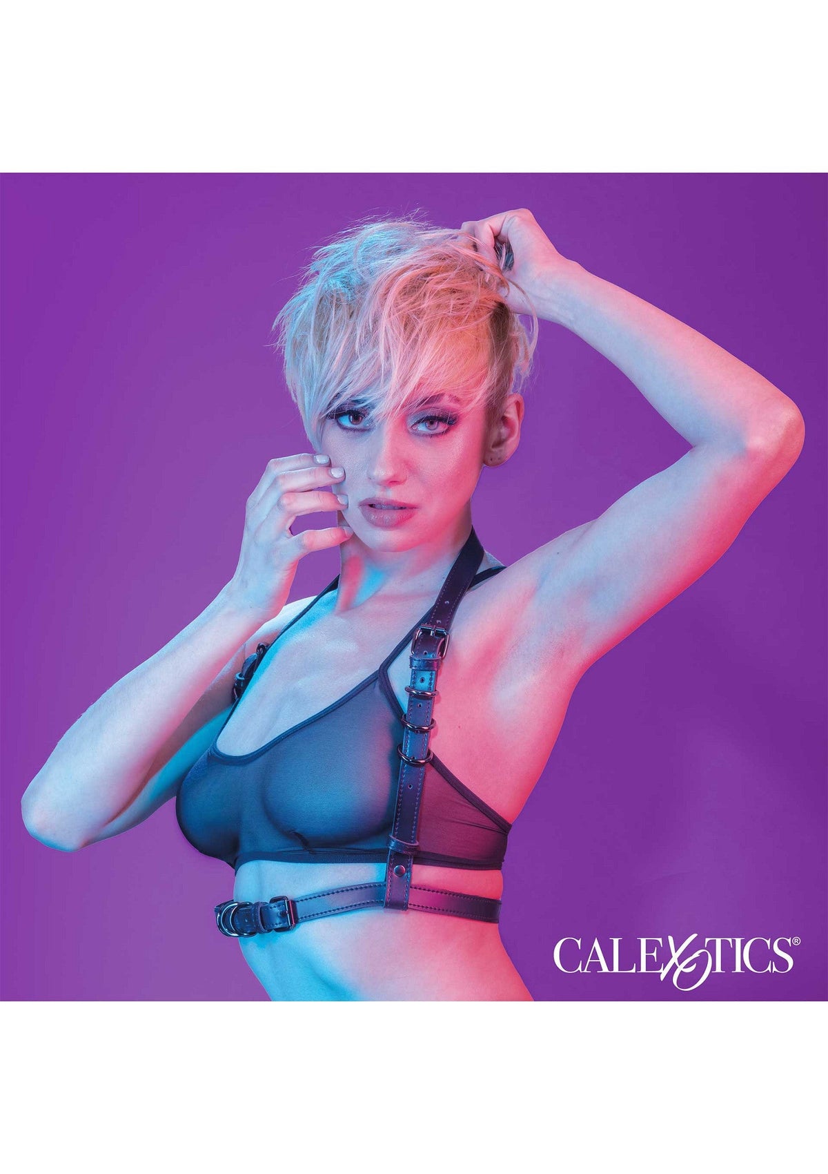 Halter Buckle Harness BLACK - 5