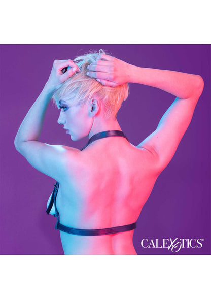 Halter Buckle Harness BLACK - 1