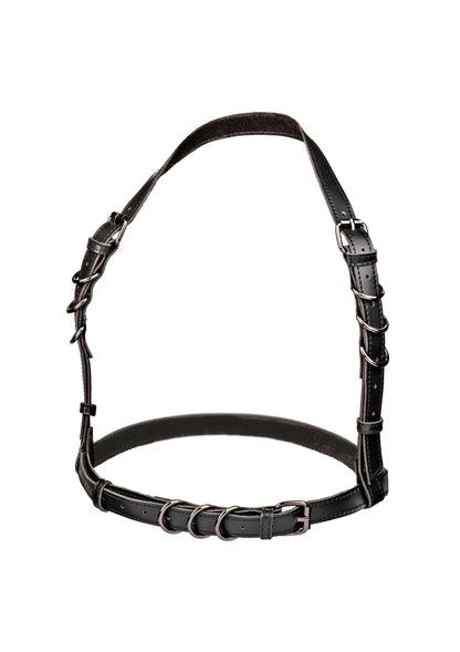 Halter Buckle Harness Plus BLACK - 0