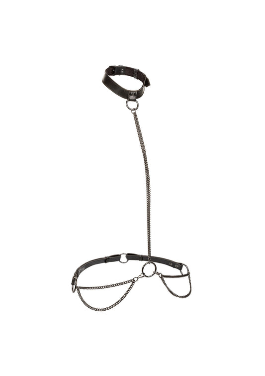 Chain Halter & Collar Plus