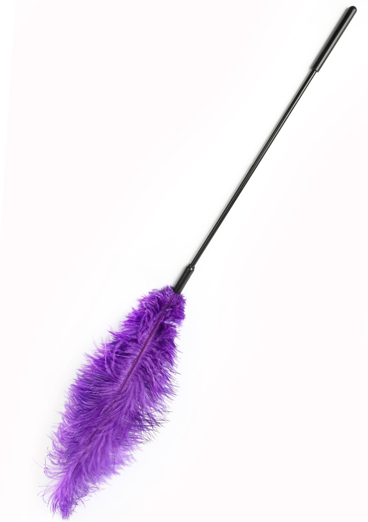 Double Feather Tickler PURPLE - 0