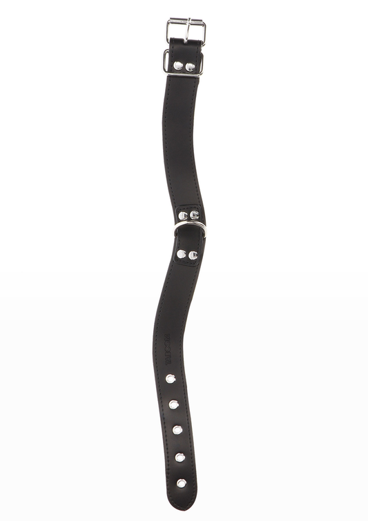 Taboom Bondage Essentials Elegant D-Ring Collar