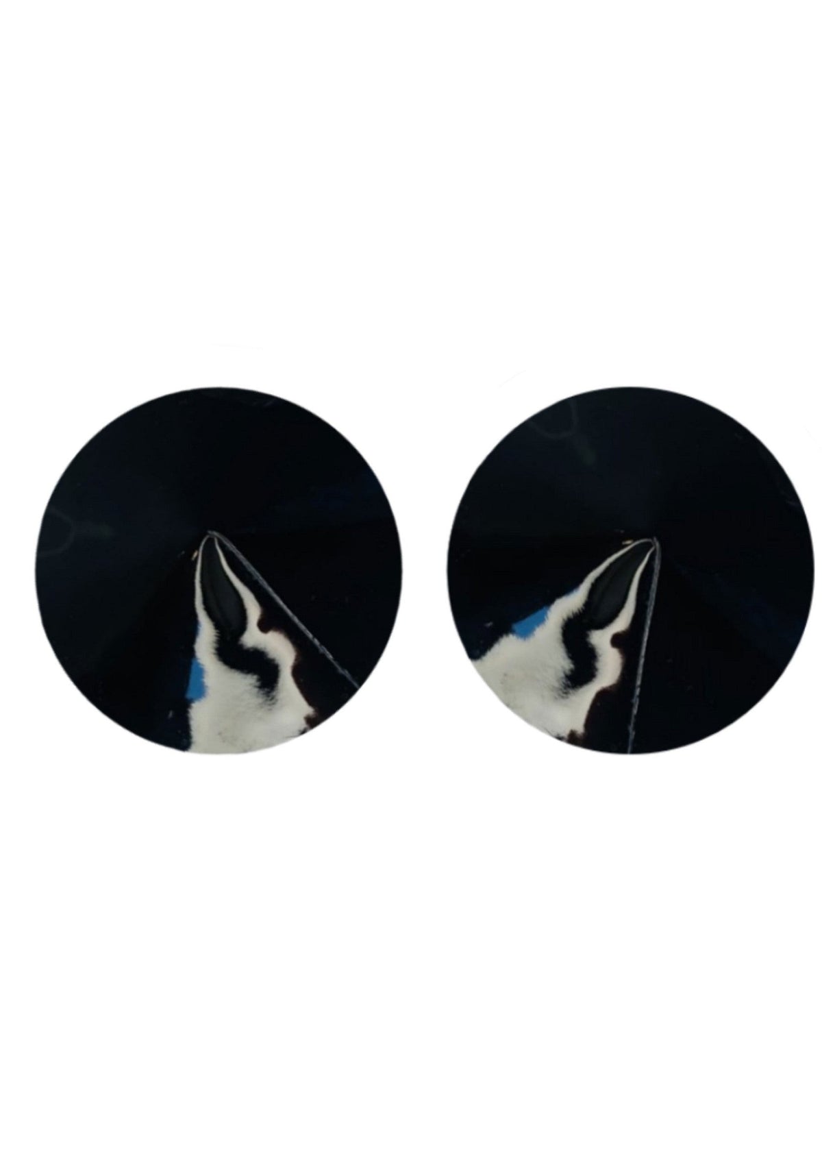 Nipple Covers Gloss BLACK O/S - 0